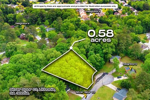1298 Silver Spur Court Lithonia GA 30058