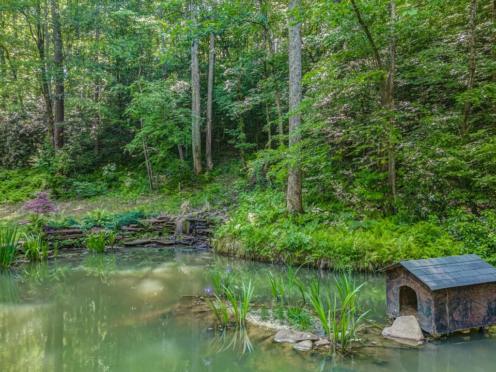 239 Green Ridge Road, Jasper, Georgia image 12