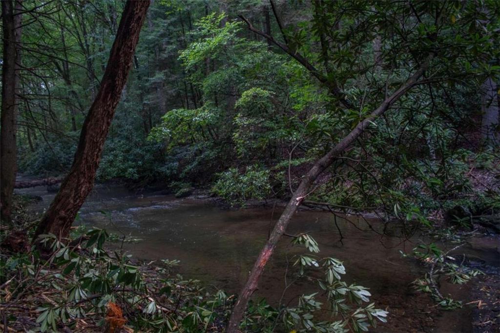 LOT 3 Big Creek Road, Cherry Log, Georgia image 9