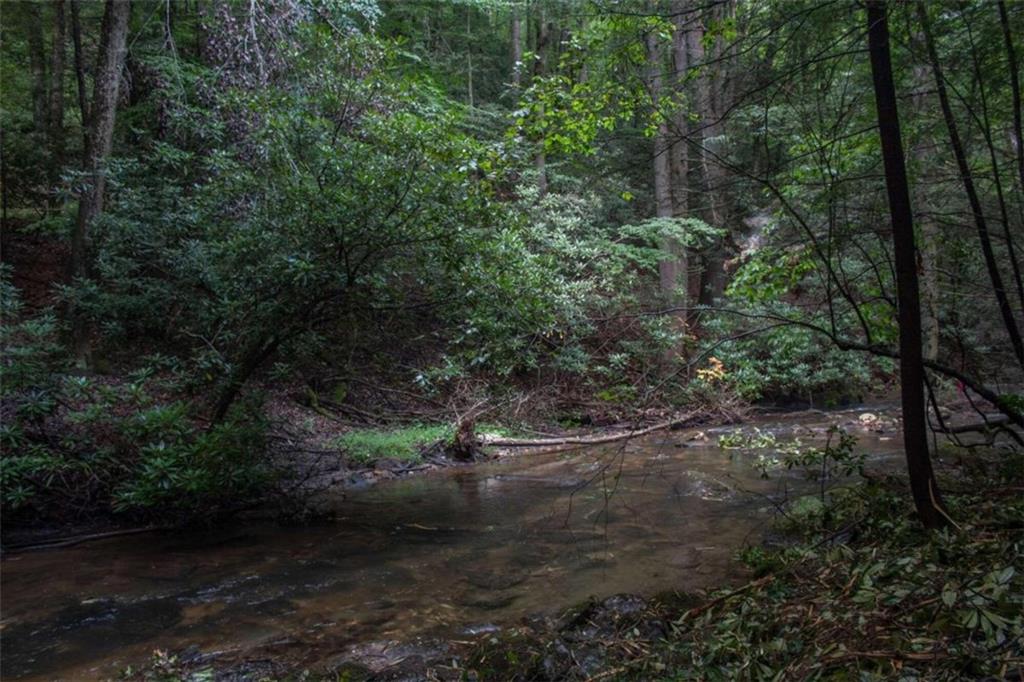 LOT 3 Big Creek Road, Cherry Log, Georgia image 7