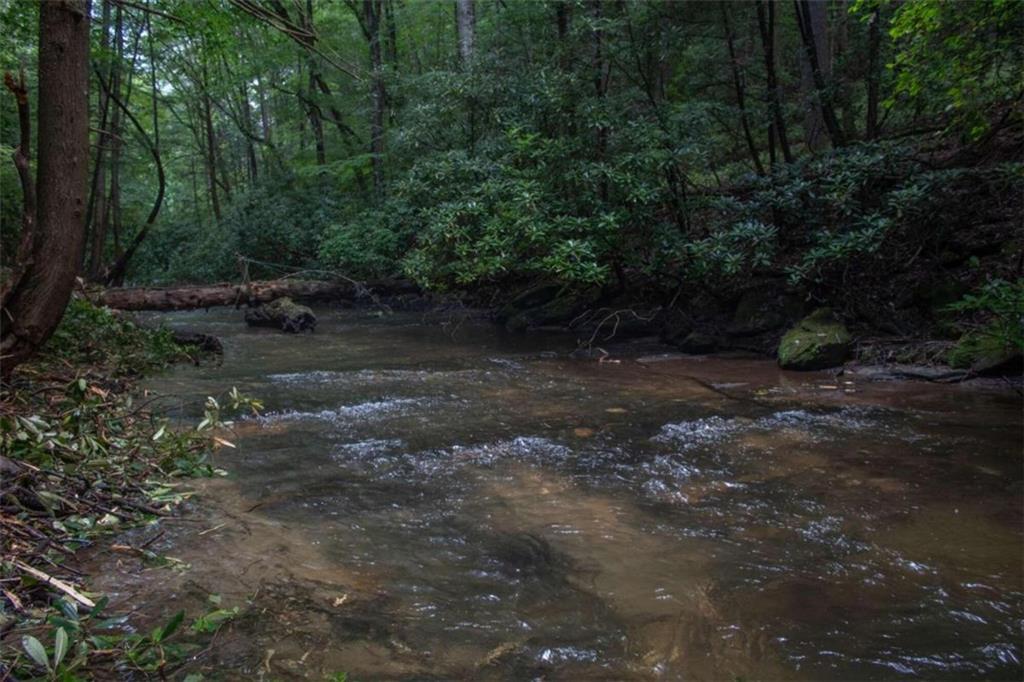 LOT 3 Big Creek Road, Cherry Log, Georgia image 2