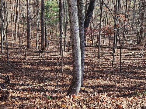 Vacant Land For Sale - 7629 Dogwood Way<br/> Murrayville, GA 30564