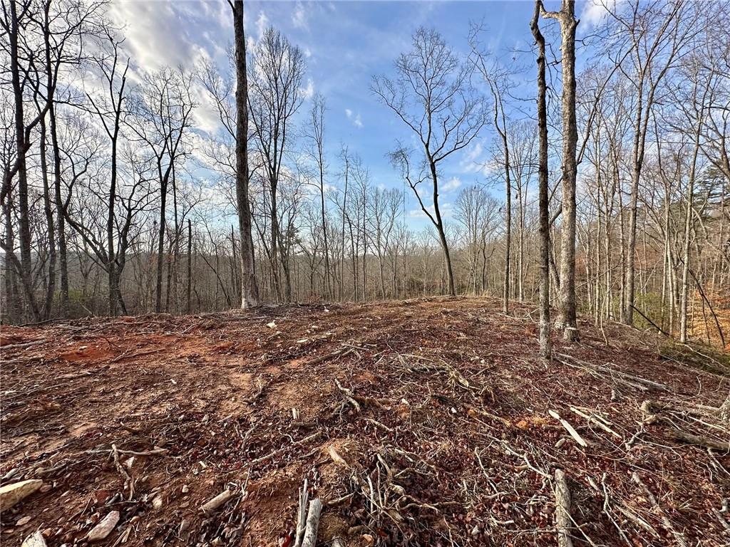 4.09 Yancy Drive, Dawsonville, Georgia image 7