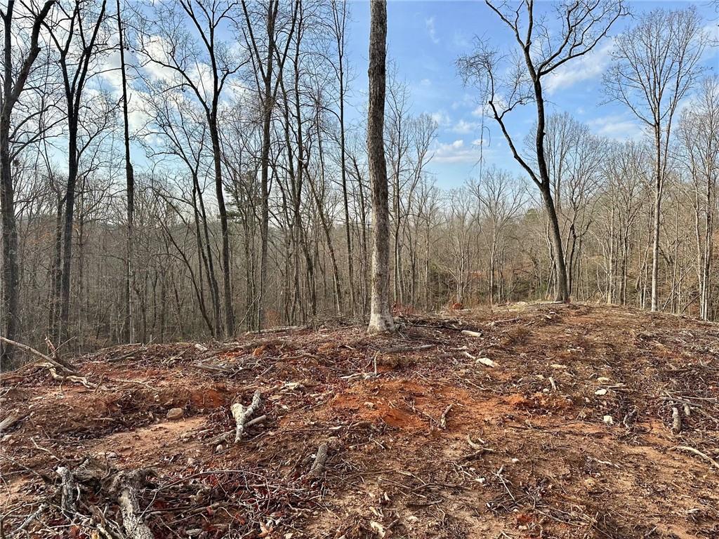 4.09 Yancy Drive, Dawsonville, Georgia image 6