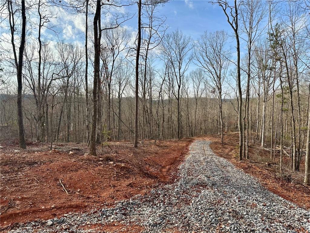 4.09 Yancy Drive, Dawsonville, Georgia image 1