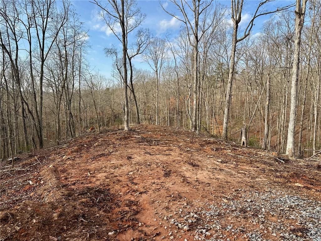 4.09 Yancy Drive, Dawsonville, Georgia image 5