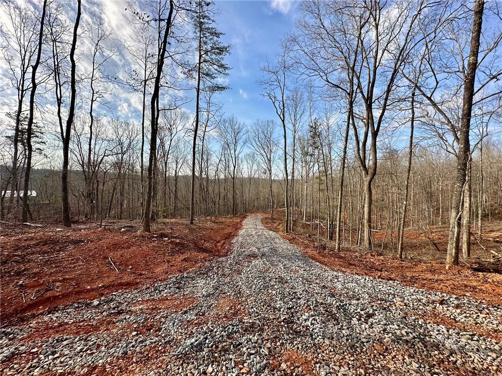 4.09 Yancy Drive, Dawsonville, Georgia image 2