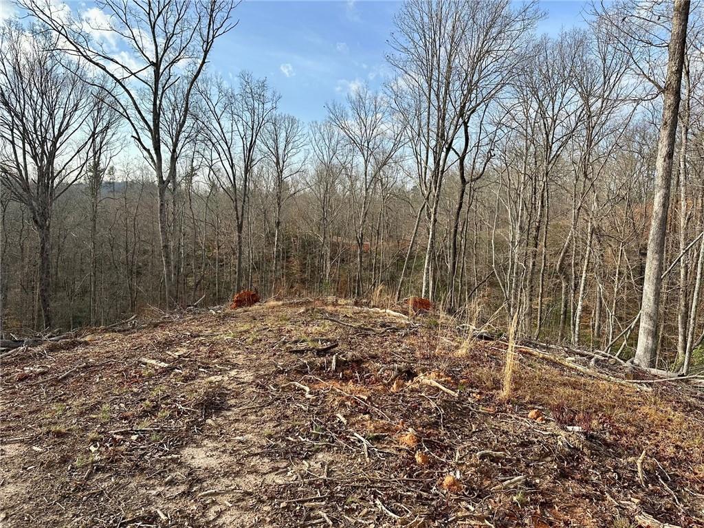 4.09 Yancy Drive, Dawsonville, Georgia image 8