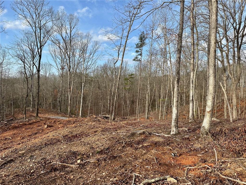 4.09 Yancy Drive, Dawsonville, Georgia image 3