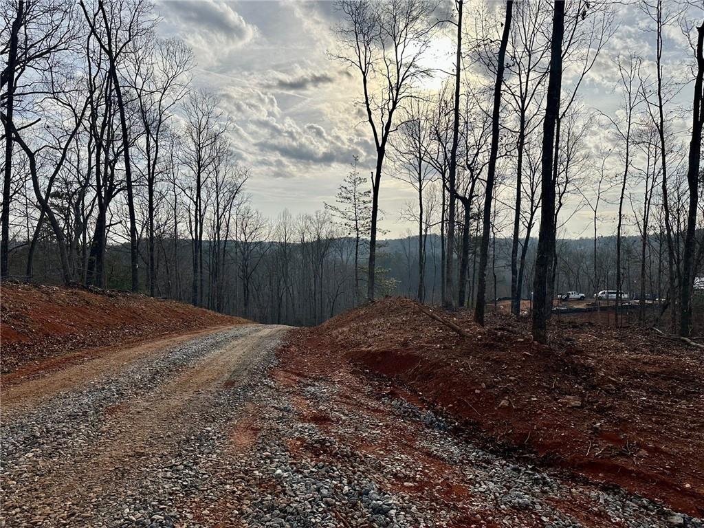 4.09 Yancy Drive, Dawsonville, Georgia image 9