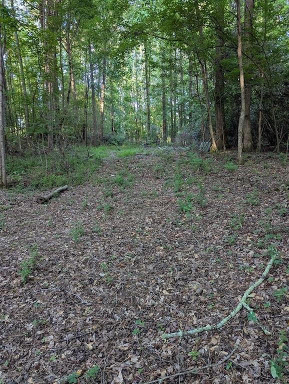 4.2 +/-ACRES River Road