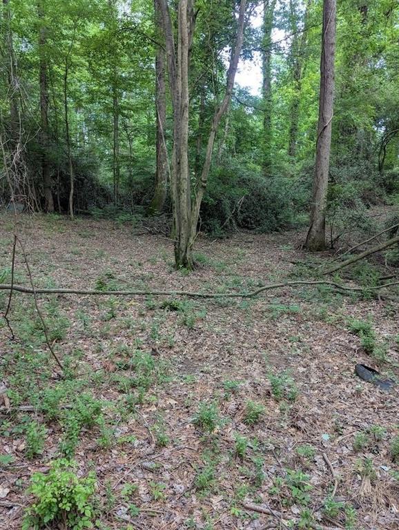 4.2 +/-ACRES River Road