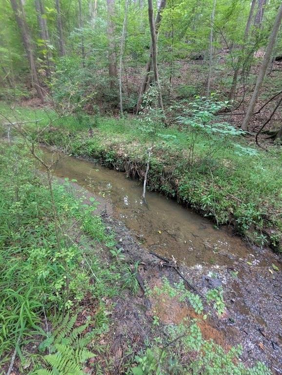 4.2 +/-ACRES River Road