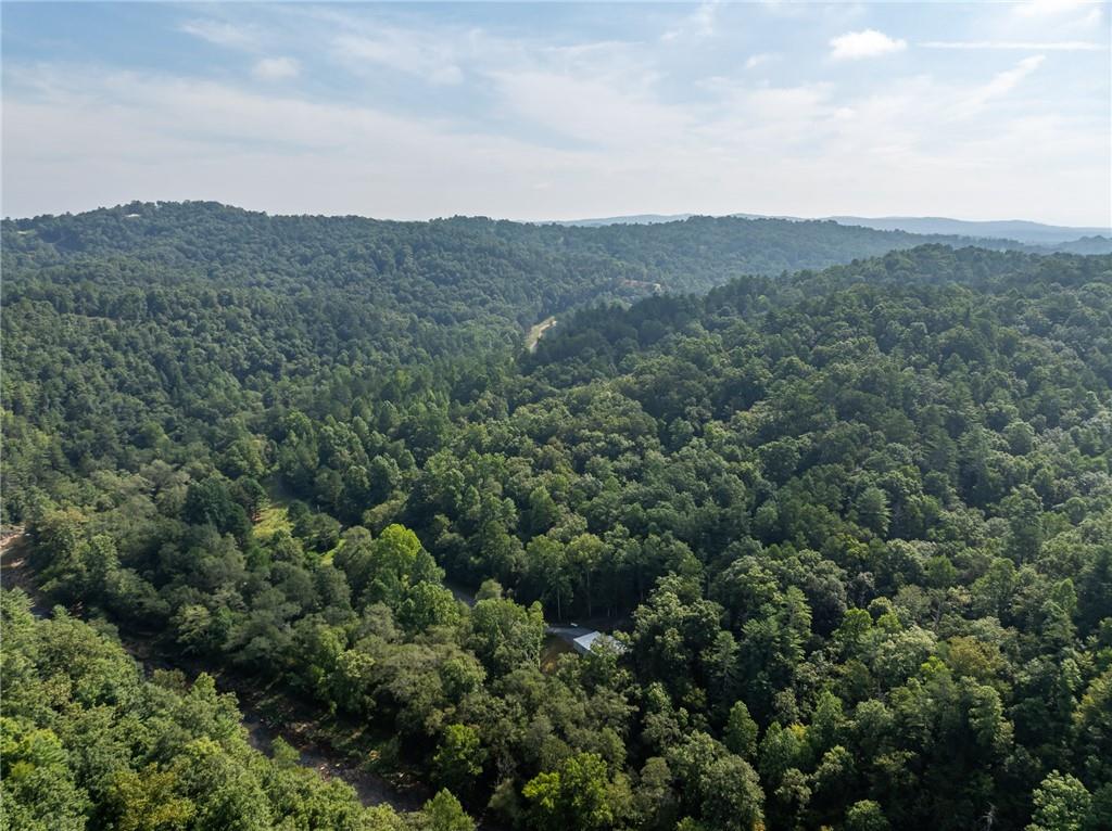 Meadow Lane, Talking Rock, Georgia image 18