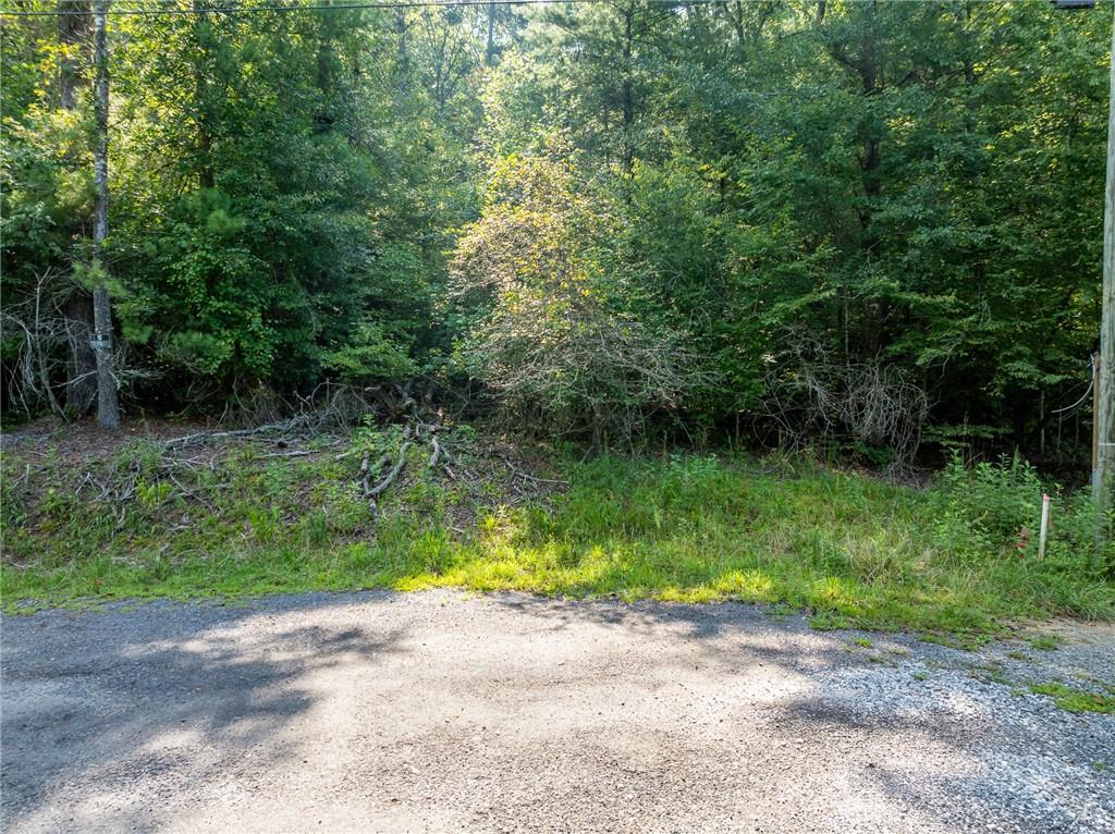 Meadow Lane, Talking Rock, Georgia image 7