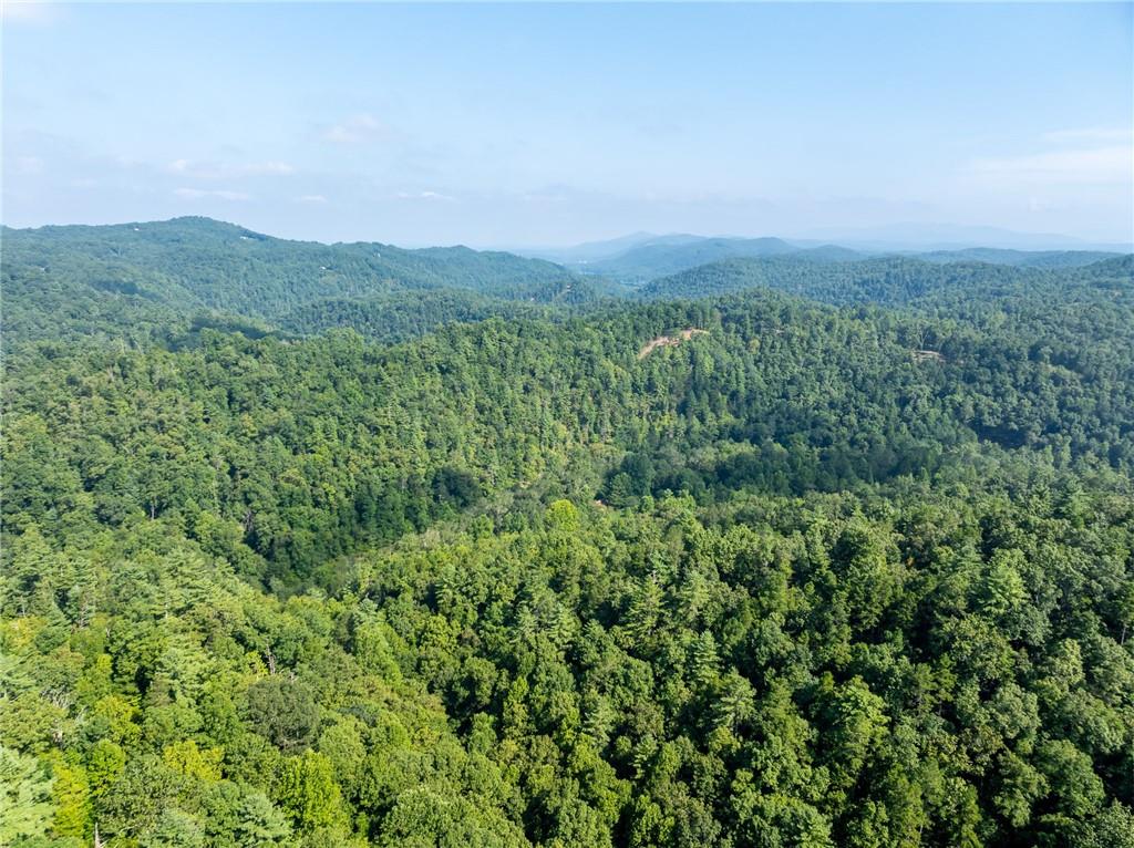 Meadow Lane, Talking Rock, Georgia image 16