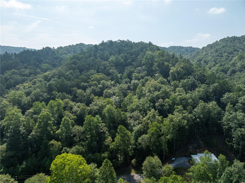 Meadow Lane, Talking Rock, Georgia image 20