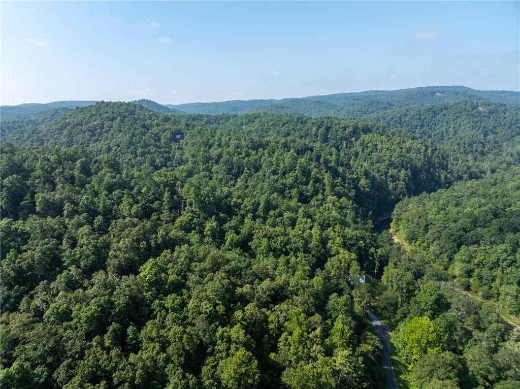 Meadow Lane, Talking Rock, Georgia image 14