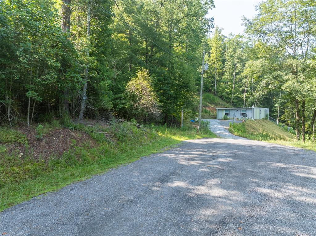 Meadow Lane, Talking Rock, Georgia image 9