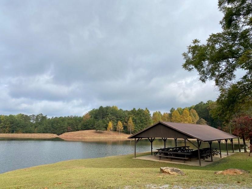 Meadow Lane, Talking Rock, Georgia image 47