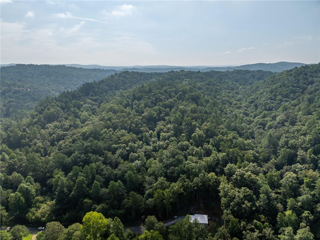 Meadow Lane, Talking Rock, Georgia image 19