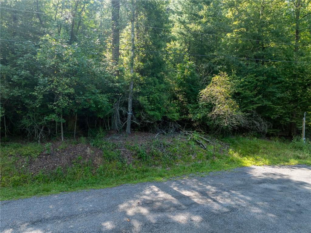 Meadow Lane, Talking Rock, Georgia image 6