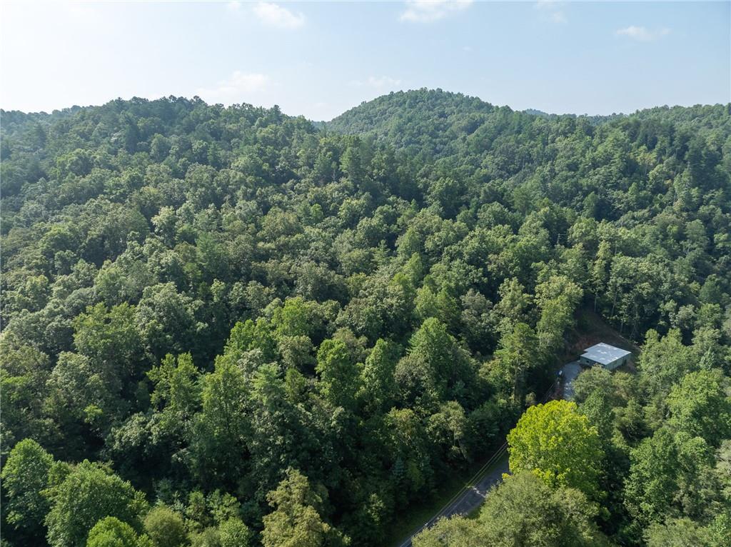 Meadow Lane, Talking Rock, Georgia image 21