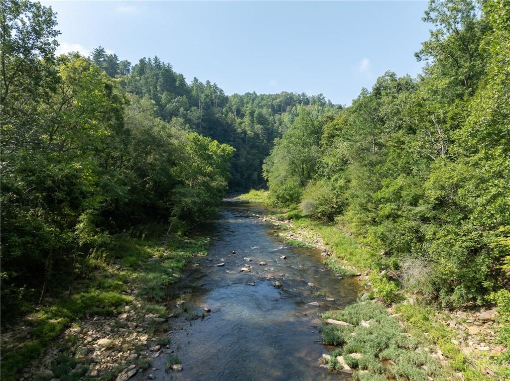 Meadow Lane, Talking Rock, Georgia image 10