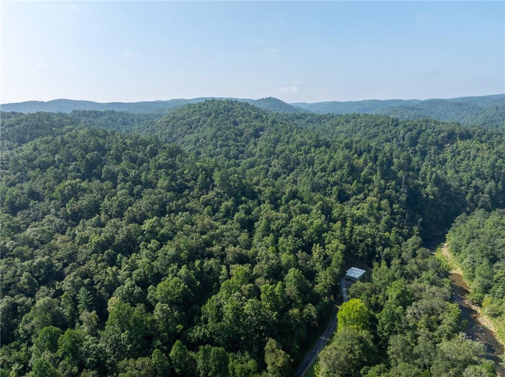 Meadow Lane, Talking Rock, Georgia image 12