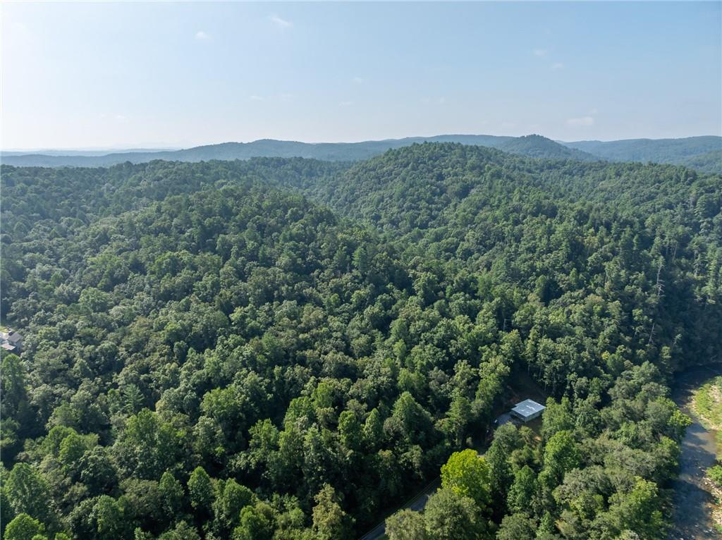 Meadow Lane, Talking Rock, Georgia image 11