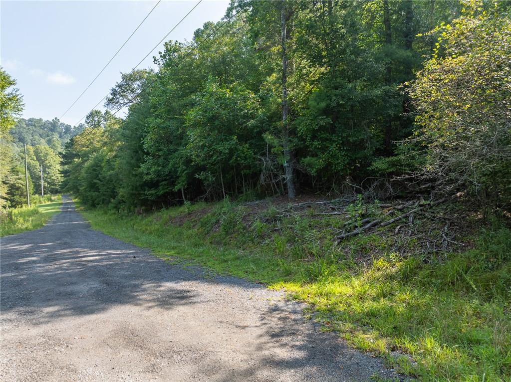 Meadow Lane, Talking Rock, Georgia image 8