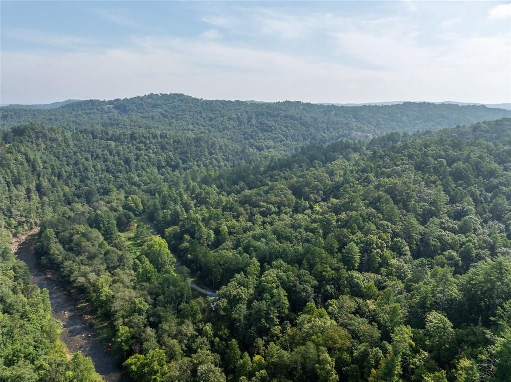 Meadow Lane, Talking Rock, Georgia image 17