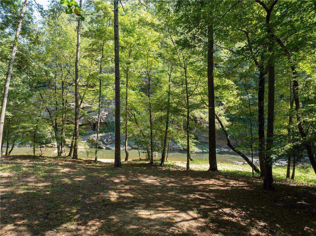 Meadow Lane, Talking Rock, Georgia image 33