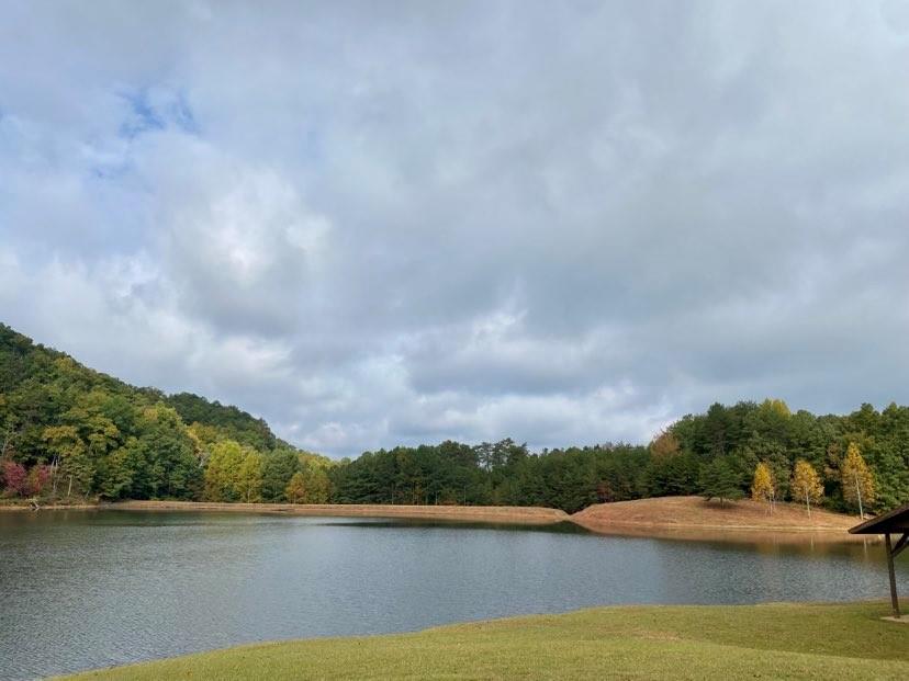 Meadow Lane, Talking Rock, Georgia image 48