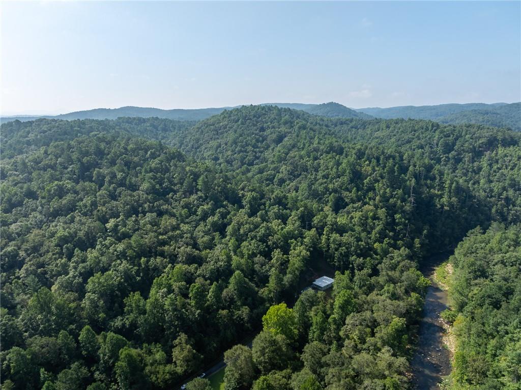 Meadow Lane, Talking Rock, Georgia image 13