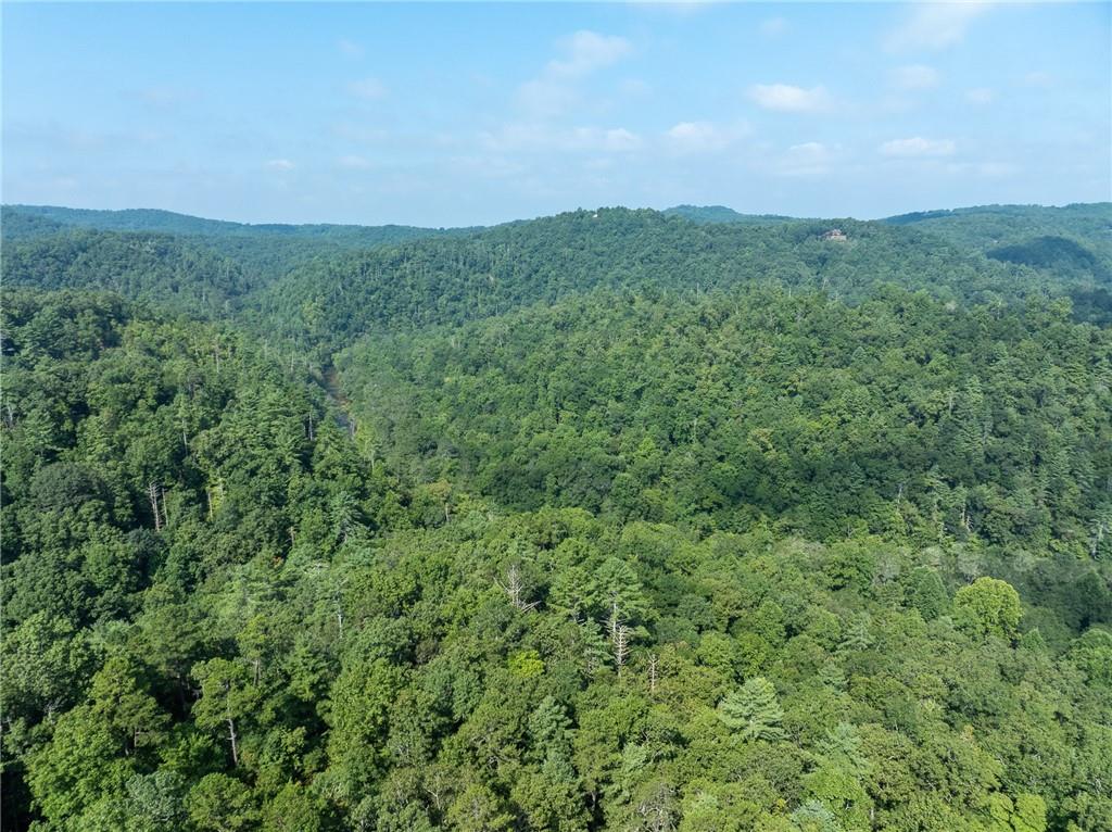 Meadow Lane, Talking Rock, Georgia image 15