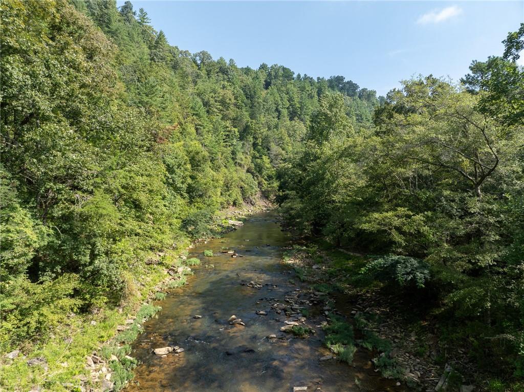 Meadow Lane, Talking Rock, Georgia image 5