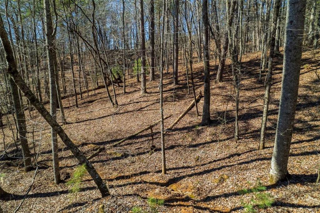 LOT 68 Julep Circle, Ellijay, Georgia image 1
