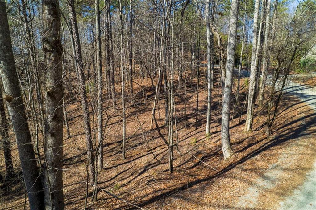LOT 68 Julep Circle, Ellijay, Georgia image 4