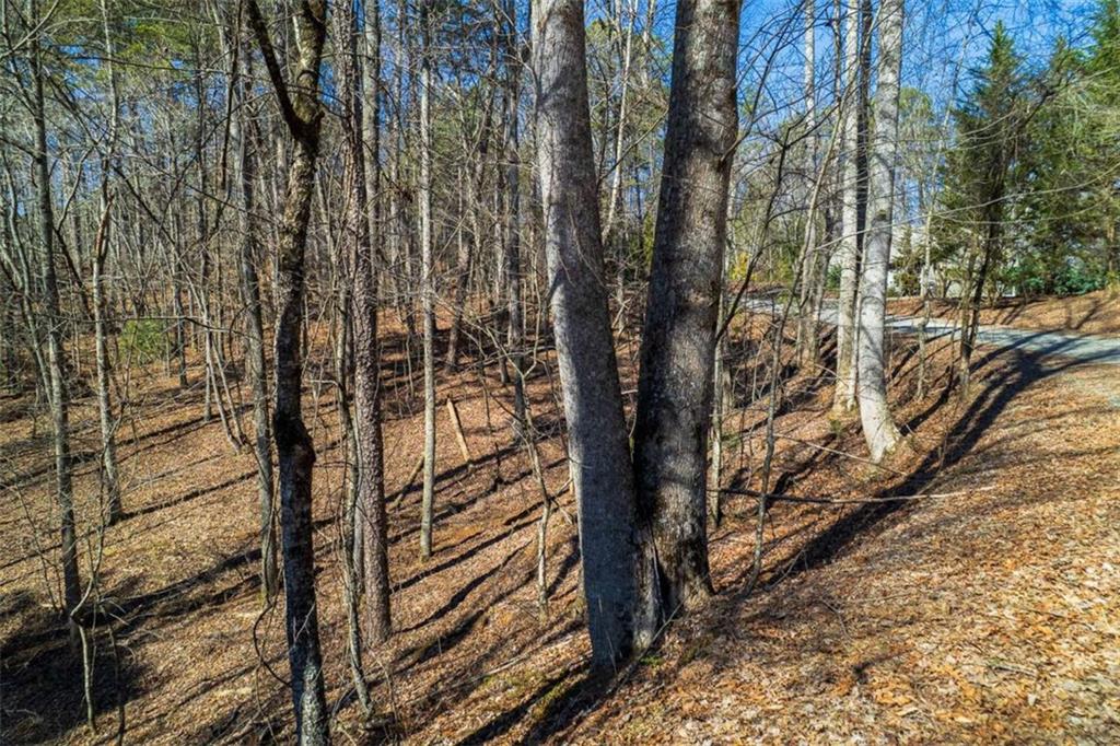 LOT 68 Julep Circle, Ellijay, Georgia image 3