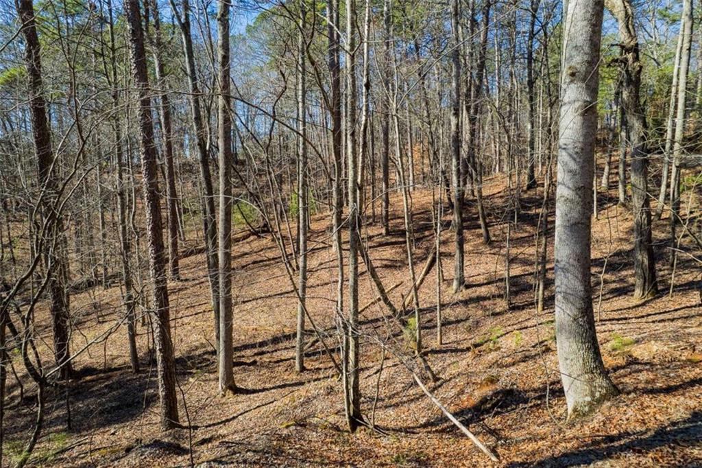 LOT 68 Julep Circle, Ellijay, Georgia image 13