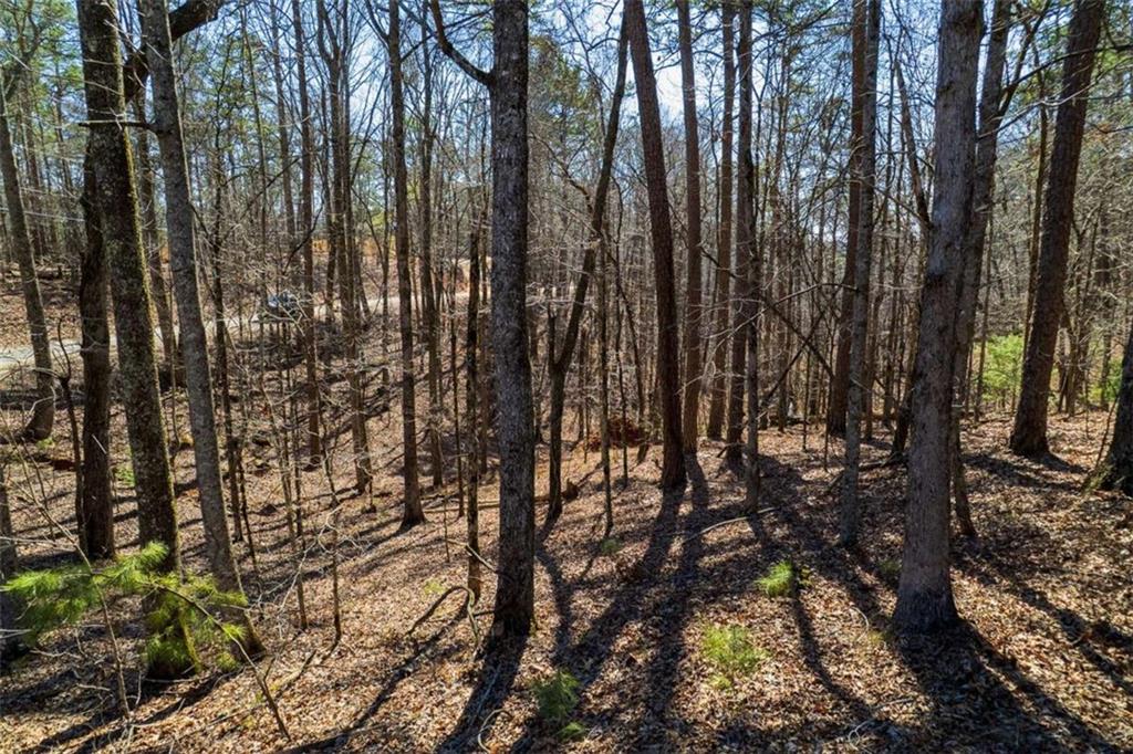 LOT 68 Julep Circle, Ellijay, Georgia image 12