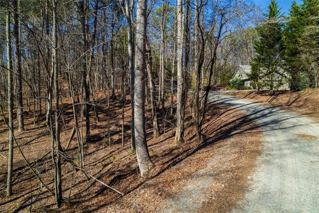 LOT 68 Julep Circle, Ellijay, Georgia image 5