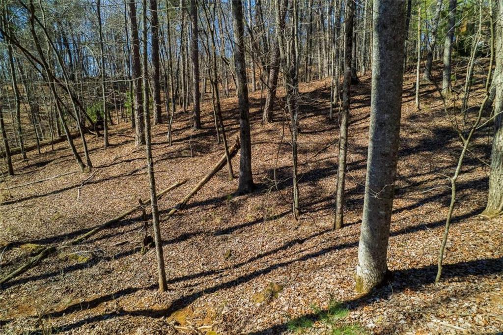 LOT 68 Julep Circle, Ellijay, Georgia image 6