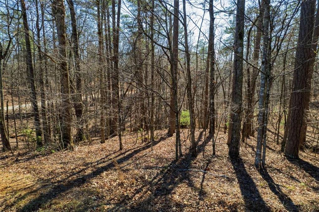 LOT 68 Julep Circle, Ellijay, Georgia image 8