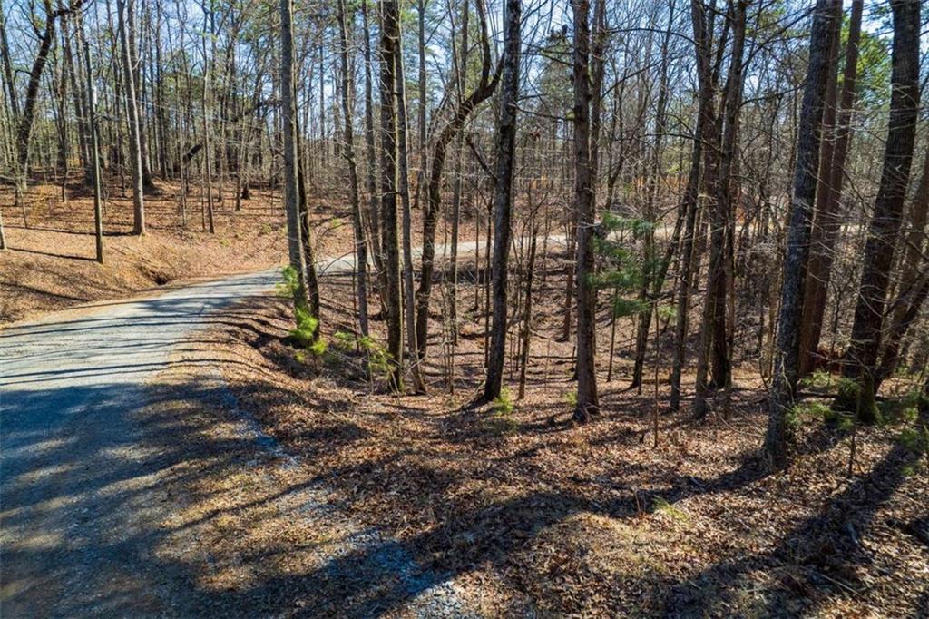 LOT 68 Julep Circle, Ellijay, Georgia image 14