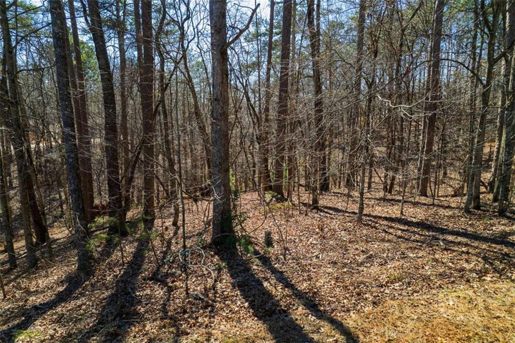 LOT 68 Julep Circle, Ellijay, Georgia image 10