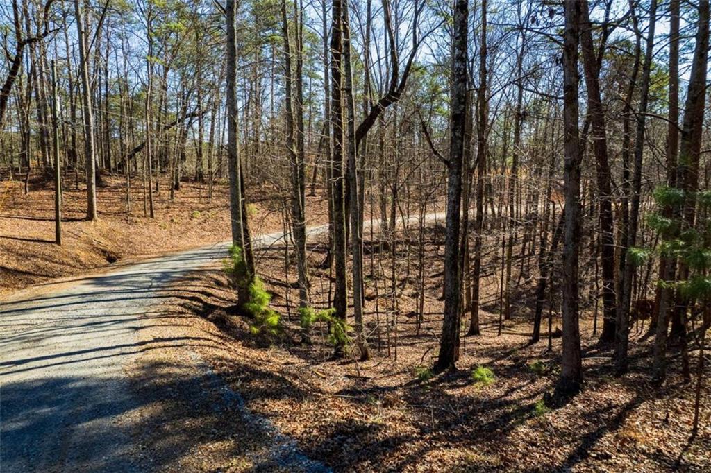 LOT 68 Julep Circle, Ellijay, Georgia image 11