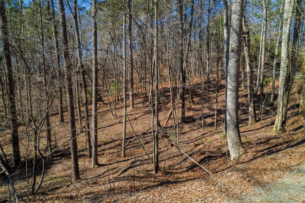 LOT 68 Julep Circle, Ellijay, Georgia image 2
