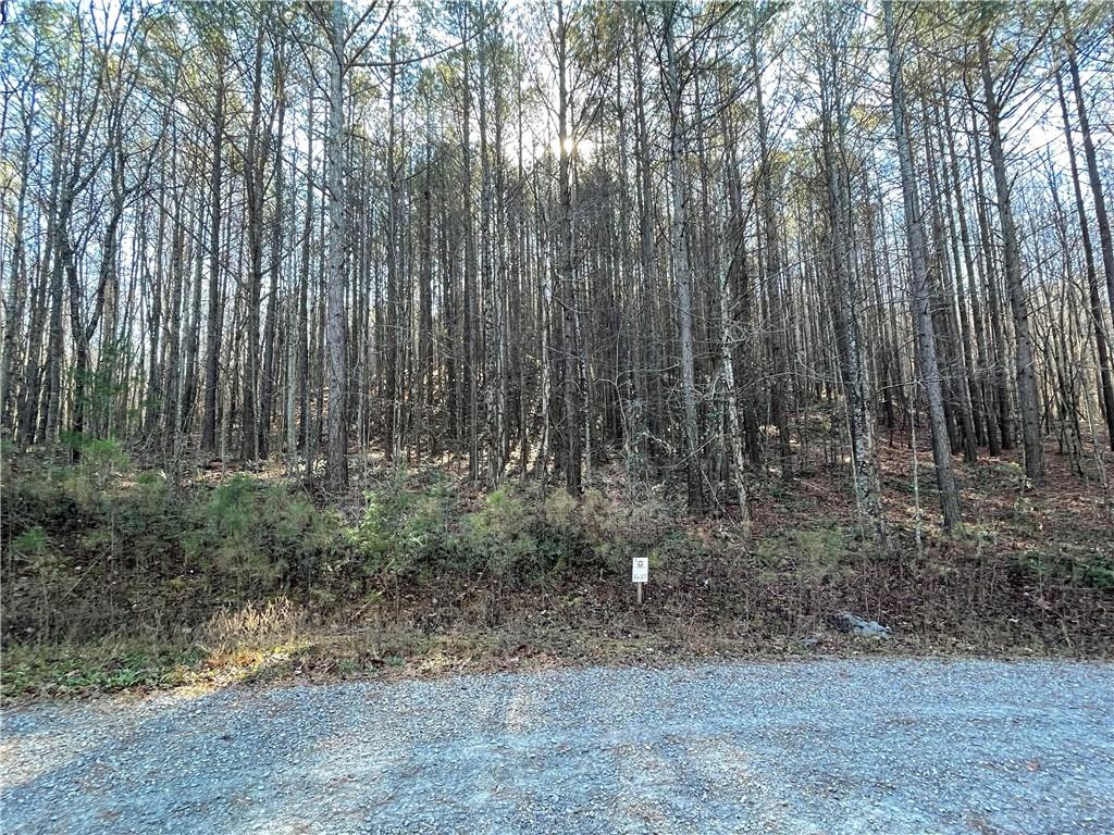 Reece Mountain Road, Ellijay, Georgia image 3